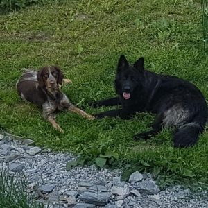 Oppfølging i 4 uker etter ferdig utredning.